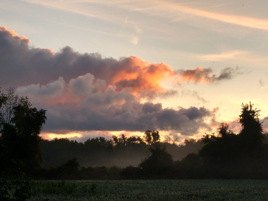 sunrise and fog over field