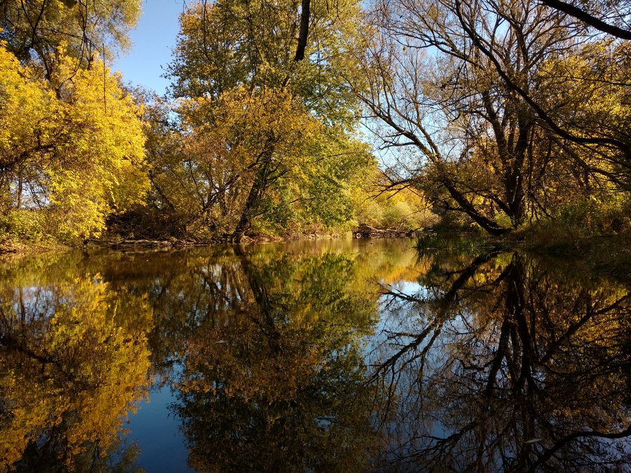 shaded creek and bright gold foliage